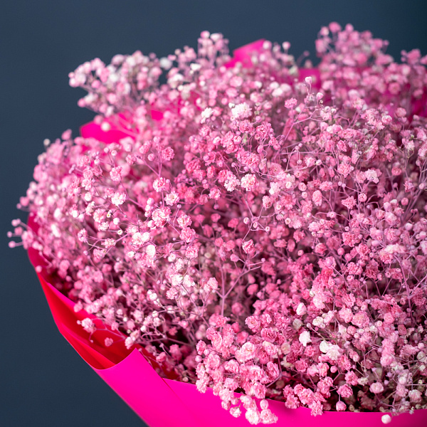 Купить Гипсофила пинк в  с бесплатной доставкой: цена, фото, описание